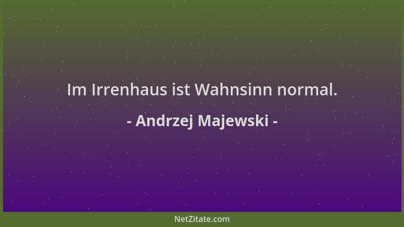 Andrzej Majewski - Im Irrenhaus ist Wahnsinn normal....