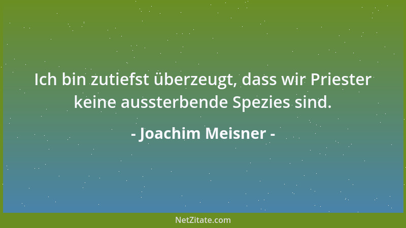 Joachim Meisner - Ich bin zutiefst überzeugt, dass wir Priester keine aussterbende Spezies sind....