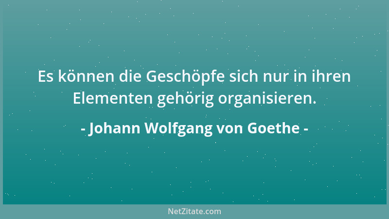 Johann Wolfgang von Goethe - So lang ' man noch trinken kann, läßt sich 's noch glücklich sein....