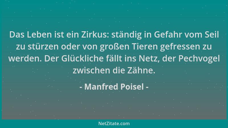 Manfred Poisel - Das Leben ist ein Zirkus: ständig in Gefahr vom Seil zu stürzen oder von großen Tieren gefressen zu werden...