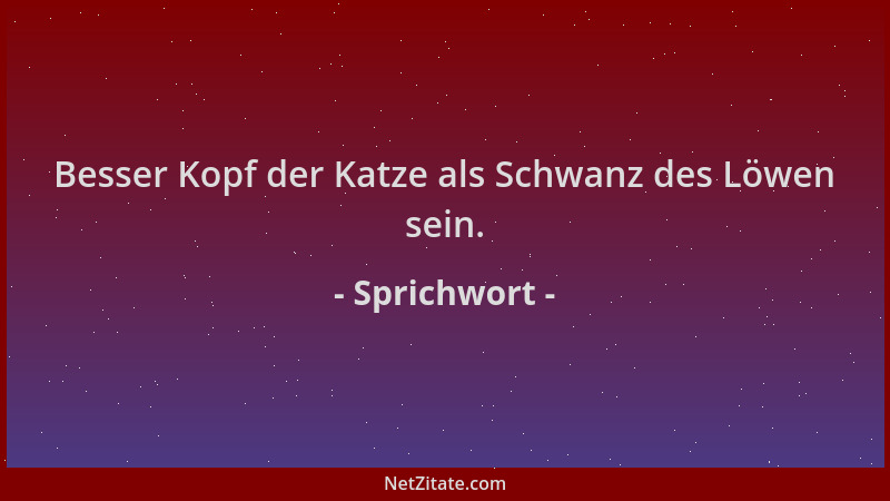 Sprichwort - Besser Kopf der Katze als Schwanz des Löwen sein....