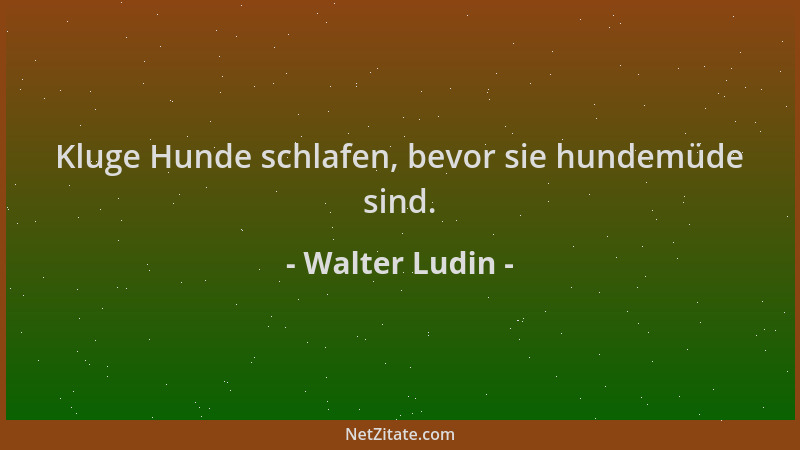 Walter Ludin - Kluge Hunde schlafen, bevor sie hundemüde sind....