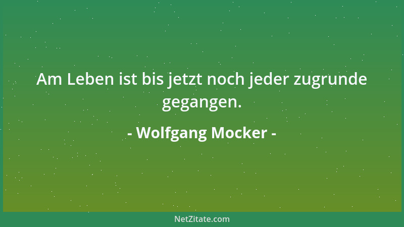 Wolfgang Mocker - Am Leben ist bis jetzt noch jeder zugrunde gegangen....