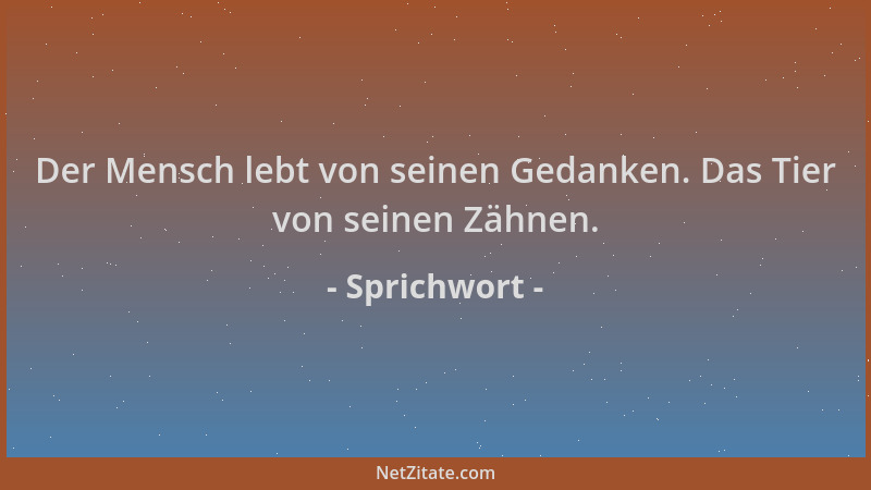 Sprichwort - Der Mensch lebt von seinen Gedanken. Das Tier von seinen Zähnen....