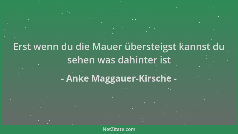Anke Maggauer-Kirsche - Erst wenn du die Mauer übersteigst kannst du sehen was dahinter ist...