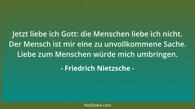 Friedrich Nietzsche - Jetzt liebe ich Gott: die Menschen liebe ich nicht. Der Mensch ist mir eine zu unvollkommene Sache. L...