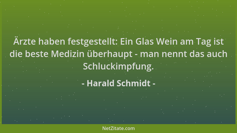 Harald Schmidt - Ärzte haben festgestellt: Ein Glas Wein am Tag ist die beste Medizin überhaupt - man nennt das auch Schluc...