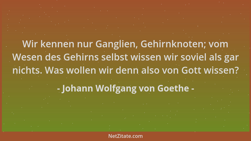 Johann Wolfgang von Goethe - Wir kennen nur Ganglien, Gehirnknoten; vom Wesen des Gehirns selbst wissen wir soviel als gar...