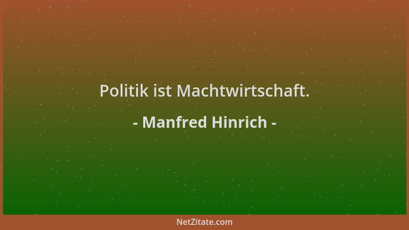 Manfred Hinrich - Politik ist Machtwirtschaft....