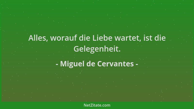Miguel de Cervantes - Alles, worauf die Liebe wartet, ist die Gelegenheit....