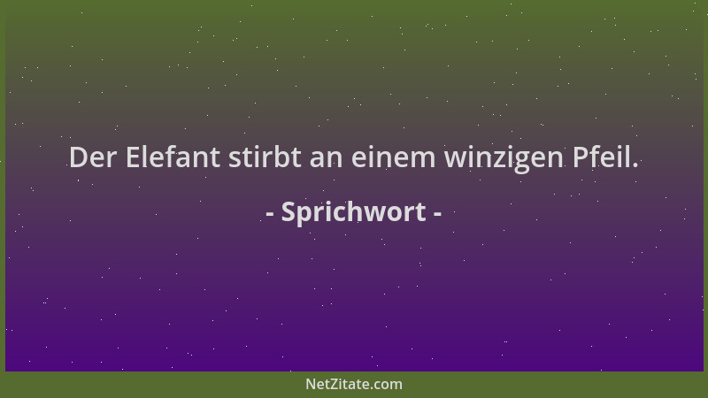 Sprichwort - Der Elefant stirbt an einem winzigen Pfeil....