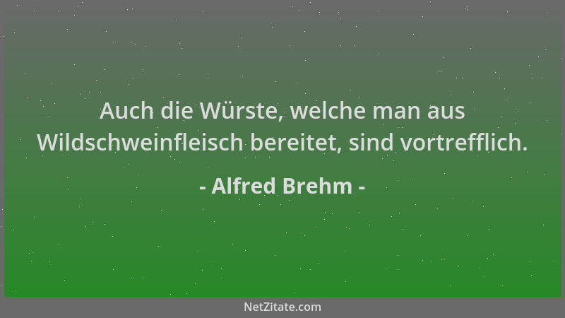 Alfred Brehm - Auch die Würste, welche man aus Wildschweinfleisch bereitet, sind vortrefflich....