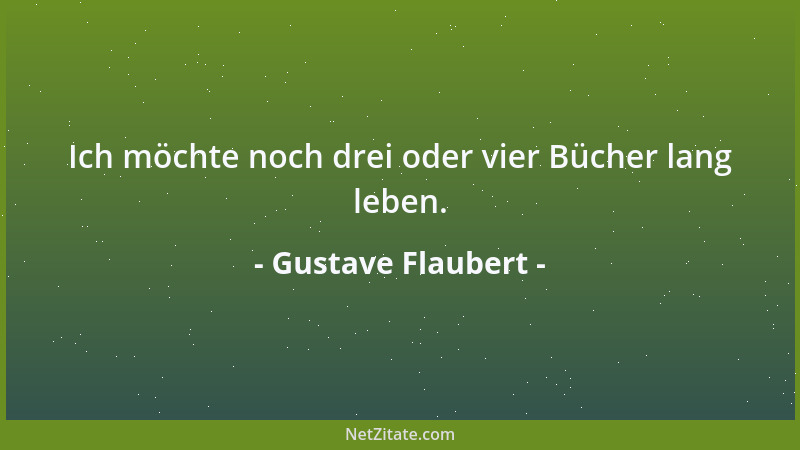 Gustave Flaubert - Ich möchte noch drei oder vier Bücher lang leben....