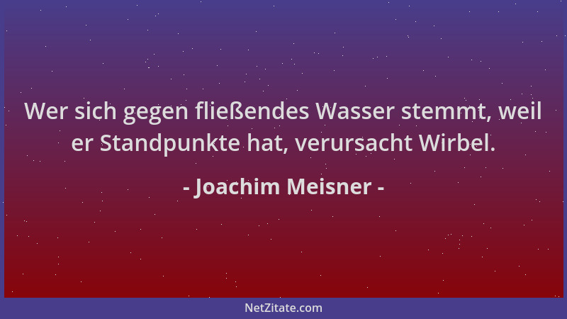 Joachim Meisner - Wer sich gegen fließendes Wasser stemmt, weil er Standpunkte hat, verursacht Wirbel....