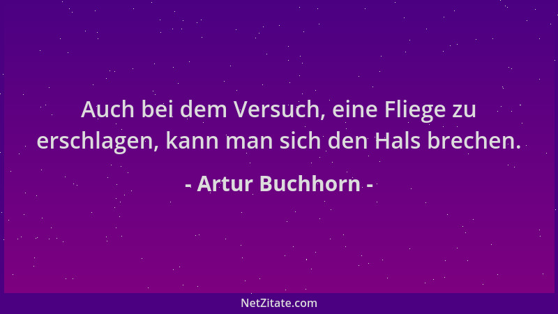 Artur Buchhorn - Auch bei dem Versuch, eine Fliege zu erschlagen, kann man sich den Hals brechen....