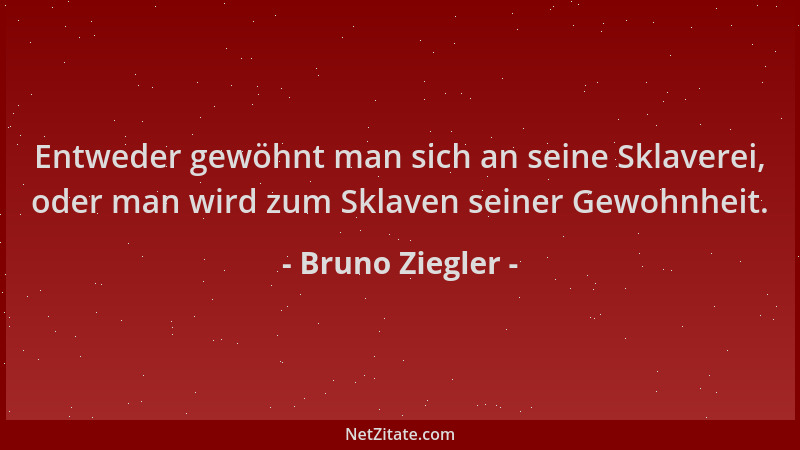 Bruno Ziegler - Entweder gewöhnt man sich an seine Sklaverei, oder man wird zum Sklaven seiner Gewohnheit....
