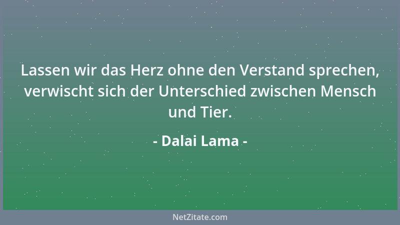 Dalai Lama - Lassen wir das Herz ohne den Verstand sprechen, verwischt sich der Unterschied zwischen Mensch und Tier....