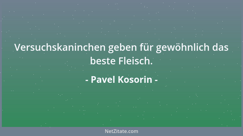 Pavel Kosorin - Versuchskaninchen geben für gewöhnlich das beste Fleisch....