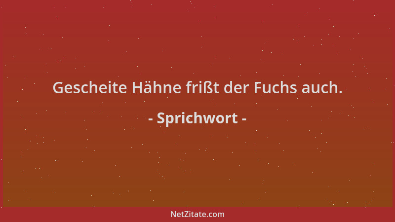 Sprichwort - Gescheite Hähne frißt der Fuchs auch....