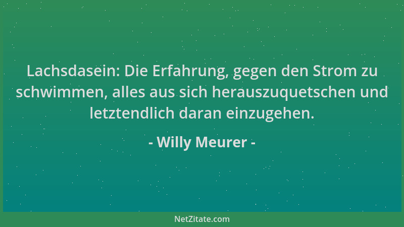 Willy Meurer - Lachsdasein: Die Erfahrung, gegen den Strom zu schwimmen, alles aus sich herauszuquetschen und letztendlich...