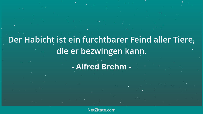 Alfred Brehm - Kein Gestank der Erde soll an Heftigkeit und Unleidlichkeit dem gleichkommen, welchen die äußerst so zierlic...