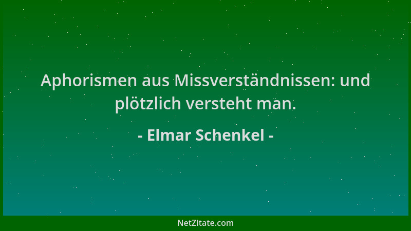 Elmar Schenkel - Aphorismen aus Missverständnissen: und plötzlich versteht man....