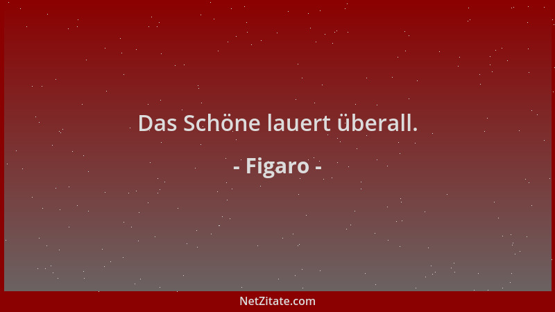 Figaro - Das Schöne lauert überall....