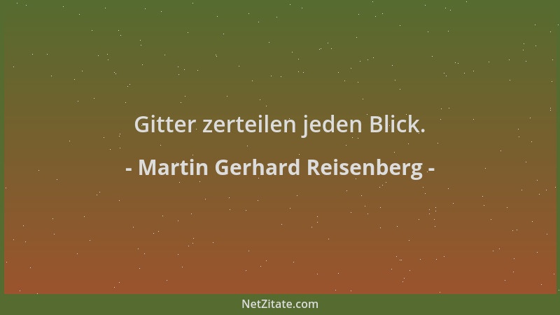 Martin Gerhard Reisenberg - Gitter zerteilen jeden Blick....