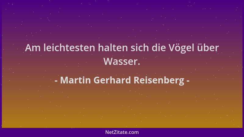 Martin Gerhard Reisenberg - Am leichtesten halten sich die Vögel über Wasser....