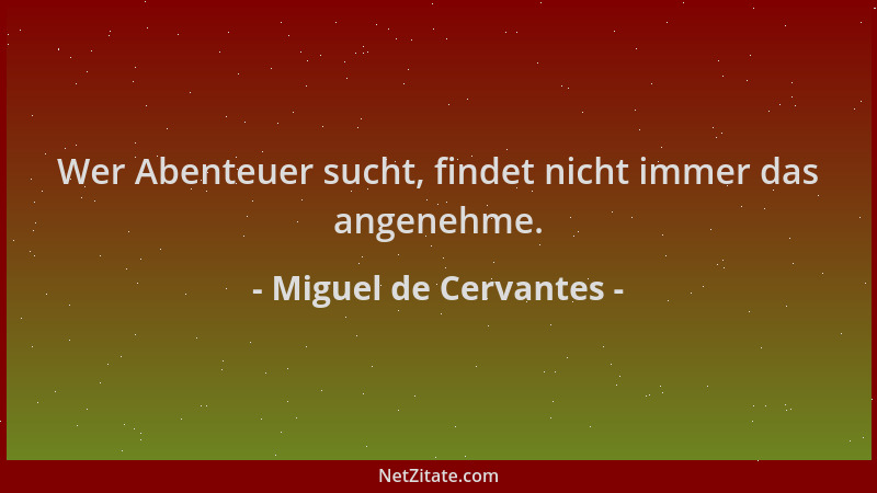 Miguel de Cervantes - Wer Abenteuer sucht, findet nicht immer das angenehme....