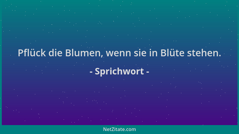 Sprichwort - Pflück die Blumen, wenn sie in Blüte stehen....