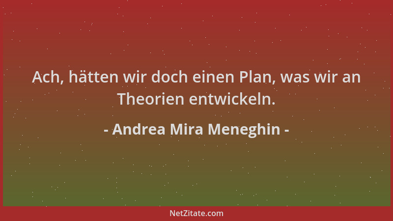 Andrea Mira Meneghin - Ach, hätten wir doch einen Plan, was wir an Theorien entwickeln....