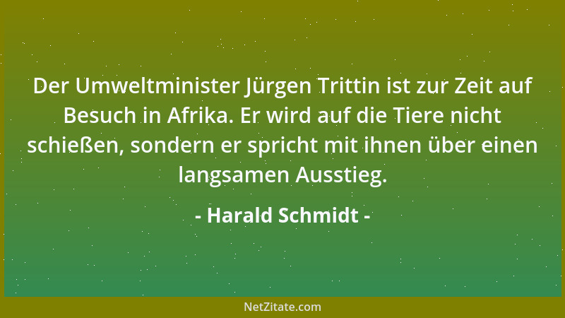 Harald Schmidt - Der Umweltminister Jürgen Trittin ist zur Zeit auf Besuch in Afrika. Er wird auf die Tiere nicht schießen,...