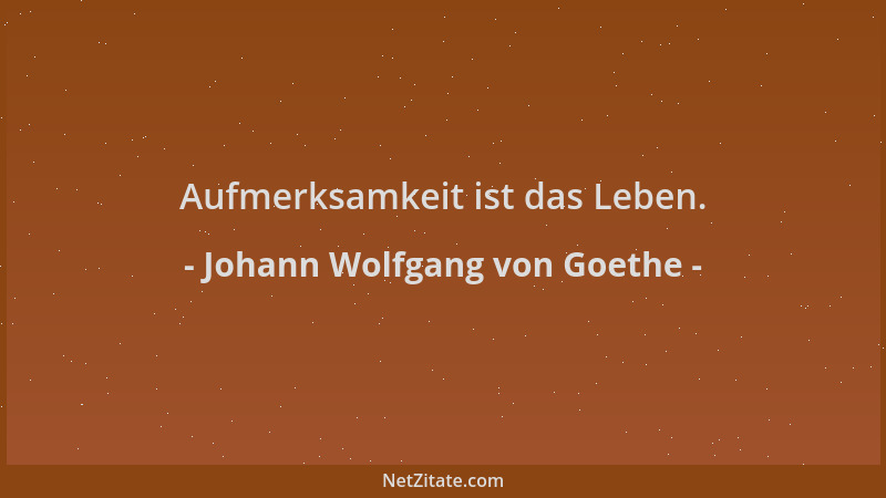 Johann Wolfgang von Goethe - Aufmerksamkeit ist das Leben....