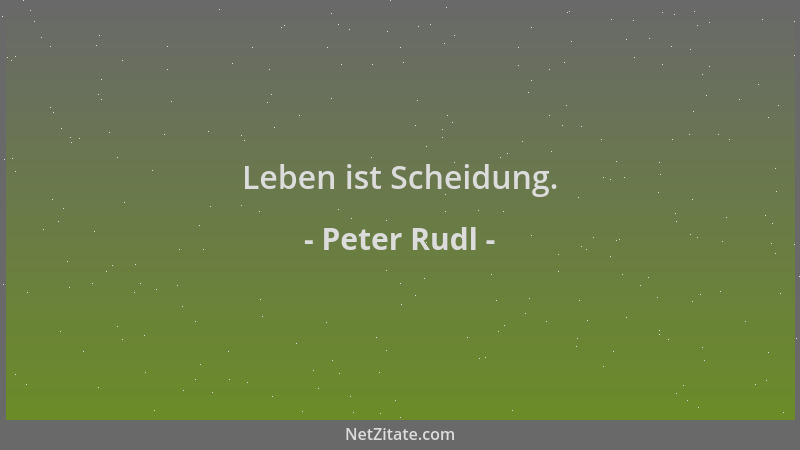 Peter Rudl - Leben ist Scheidung....