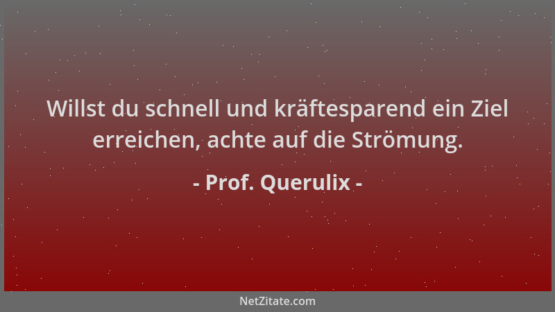 Prof. Querulix - Willst du schnell und kräftesparend ein Ziel erreichen, achte auf die Strömung....