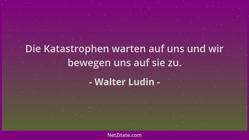 Walter Ludin - Die Katastrophen warten auf uns und wir bewegen uns auf sie zu....