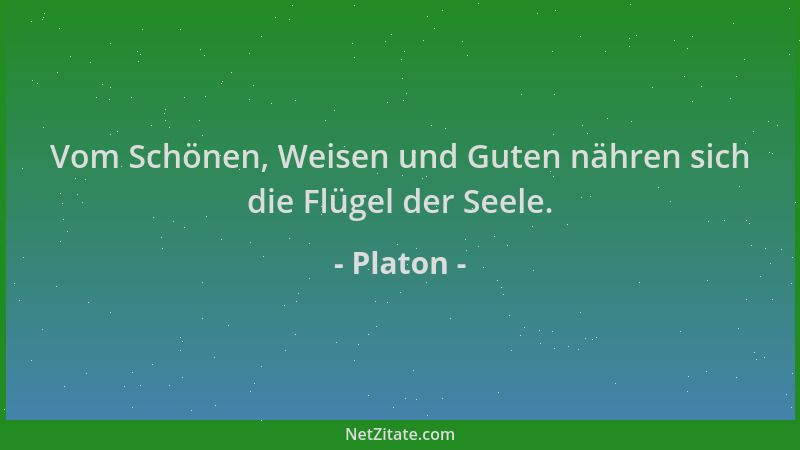 Platon - Vom Schönen, Weisen und Guten nähren sich die Flügel der Seele....