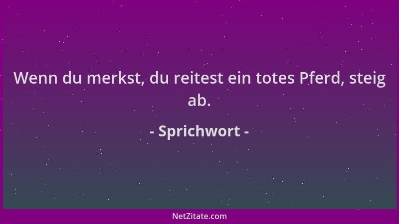Sprichwort - Wenn du merkst, du reitest ein totes Pferd, steig ab....