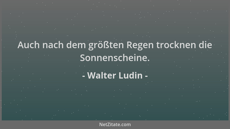 Walter Ludin - Auch nach dem größten Regen trocknen die Sonnenscheine....