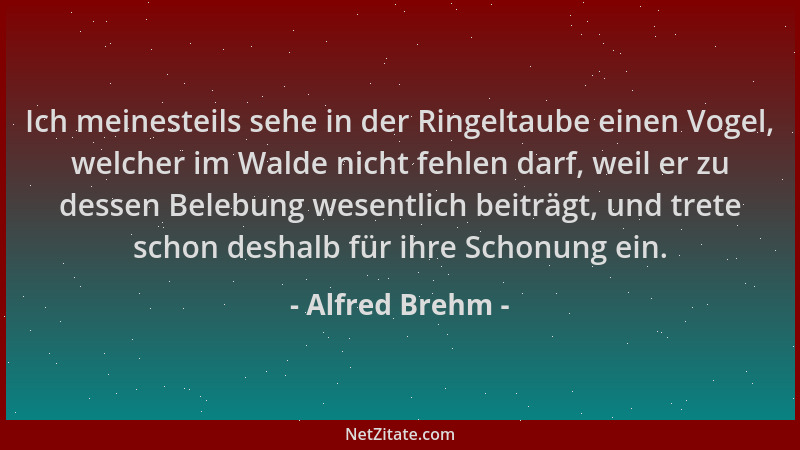 Alfred Brehm - Ich meinesteils sehe in der Ringeltaube einen Vogel, welcher im Walde nicht fehlen darf, weil er zu dessen B...