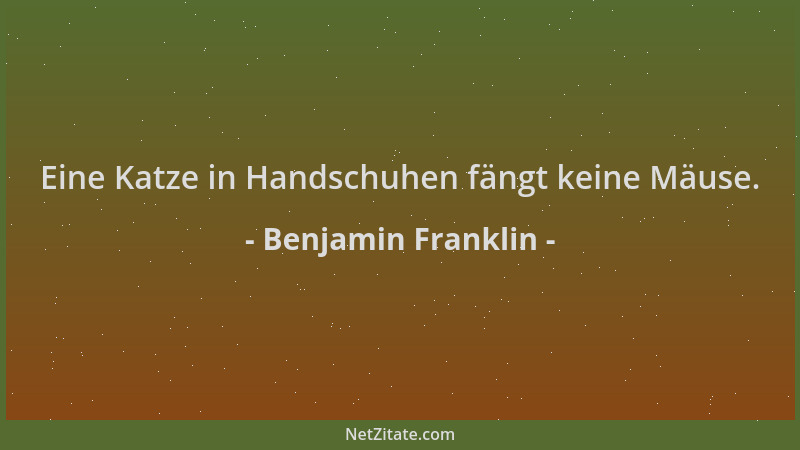 Benjamin Franklin - Eine Katze in Handschuhen fängt keine Mäuse....