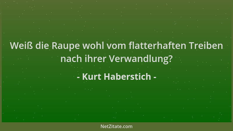 Kurt Haberstich - Weiß die Raupe wohl vom flatterhaften Treiben nach ihrer Verwandlung?...