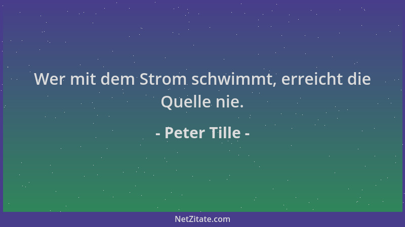 Peter Tille - Wer mit dem Strom schwimmt, erreicht die Quelle nie....