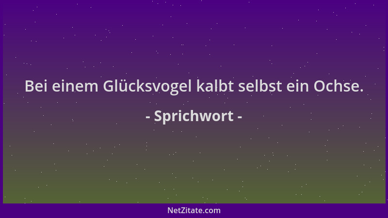 Sprichwort - Bei einem Glücksvogel kalbt selbst ein Ochse....