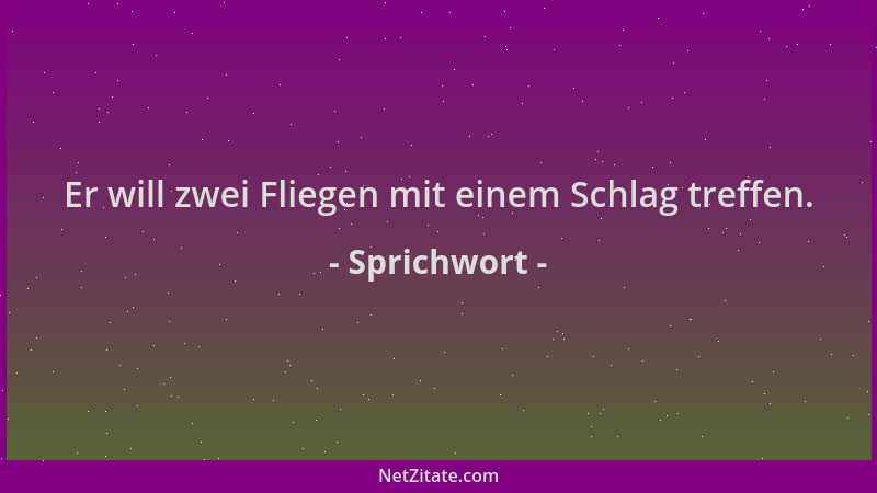 Sprichwort - Er will zwei Fliegen mit einem Schlag treffen....