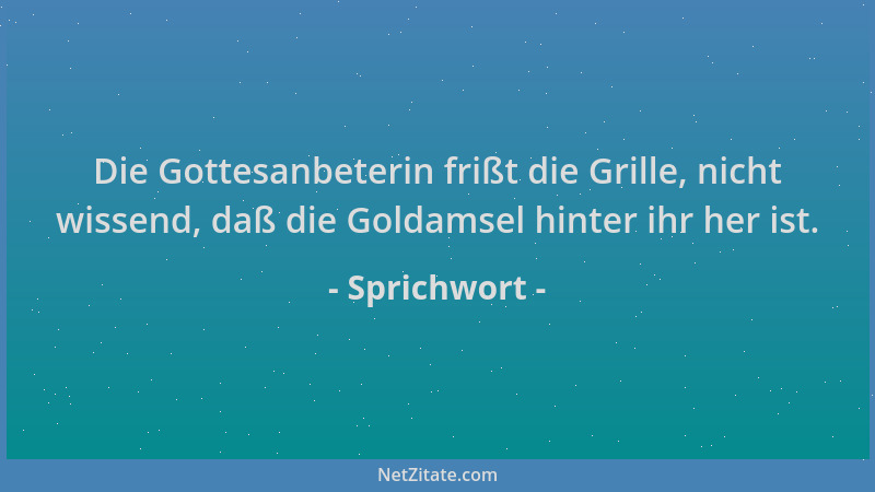 Sprichwort - Die Gottesanbeterin frißt die Grille, nicht wissend, daß die Goldamsel hinter ihr her ist....