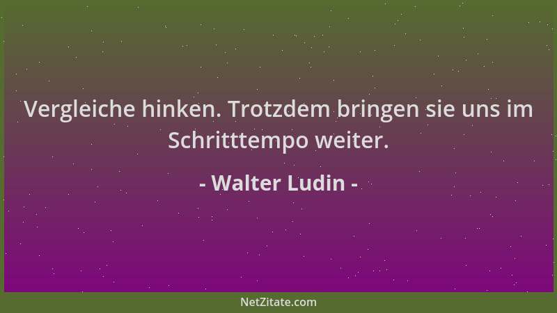 Walter Ludin - Vergleiche hinken. Trotzdem bringen sie uns im Schritttempo weiter....