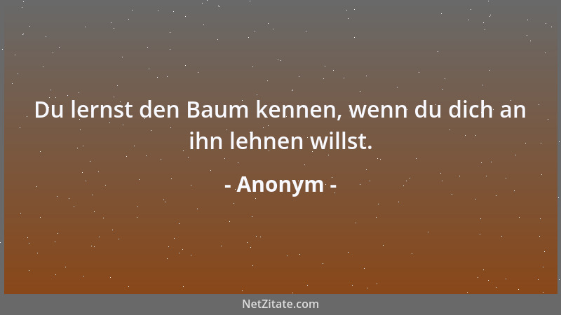 Anonym - Du lernst den Baum kennen, wenn du dich an ihn lehnen willst....