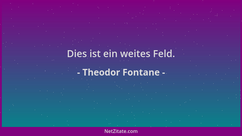 Theodor Fontane - Dies ist ein weites Feld....